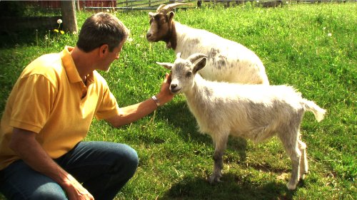 Gabel statt Skalpell - Gesünder leben ohne Fleisch - Bio - 3