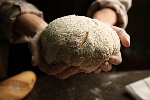 Bio Sauerteig (Roggensauer) | aus 100% Demeter Roggenmehl | frischer Natursauerteig – perfekt für Brote oder als Anstellgut – Inhalt: 300g Roggensauerteig - 4