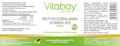 Methylcobalamin - 1000 mcg - Vitamin B12 Lutschtabletten - Vegan (120 Vegane Lutschtabletten) - 2