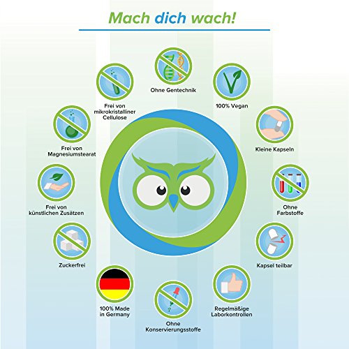 Vitamin B12 Kapseln - Ohne künstliche Zusatzstoffe - vegan - Qualität aus Deutschland - 100% Zufriedenheitsgarantie - 1000µg hochwertiges Methylcobalamin - deutsche Laboranalytik - Vitamineule® - 5