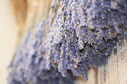 Duftkerze Soja Lavendel Beige Blau Kerze aus Bio Sojawachs ätherisches Lavendel Öl Geschenk - 9