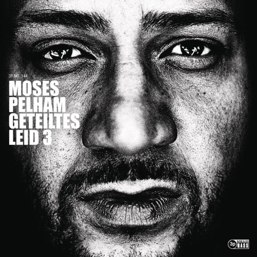 Moses Pelham - Geteiltes Leid 3 [Explicit]