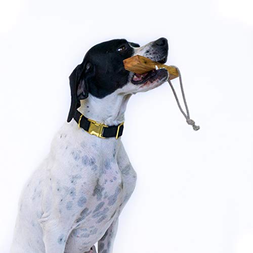 4 Nooks - Natürlicher Multifunktionaler Kauknochen für Hunde aus Olivenholz mit Kordel aus Hanf zum spielen und werfen, Größe M - 2
