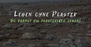 Read more about the article Leben ohne Plastik – So kannst du plastikfrei leben!