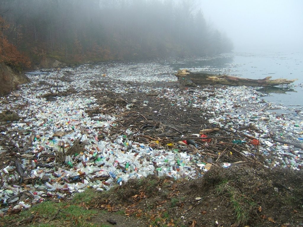Umweltbelastung durch Plaste
