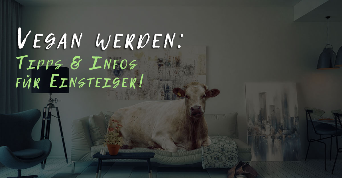 Vegan werden: Tipps & Infos für Einsteiger!