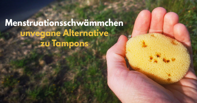 Menstruationsschwämme: natürliche Tampon-Alternative im Fokus