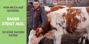 Bauer steigt aus – von Milch auf Getreide – 110 Kühe suchen Paten