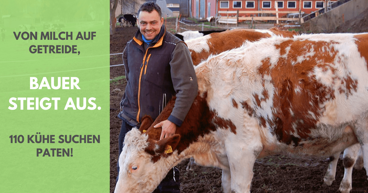 You are currently viewing Bauer steigt aus – von Milch auf Getreide – 110 Kühe suchen Paten