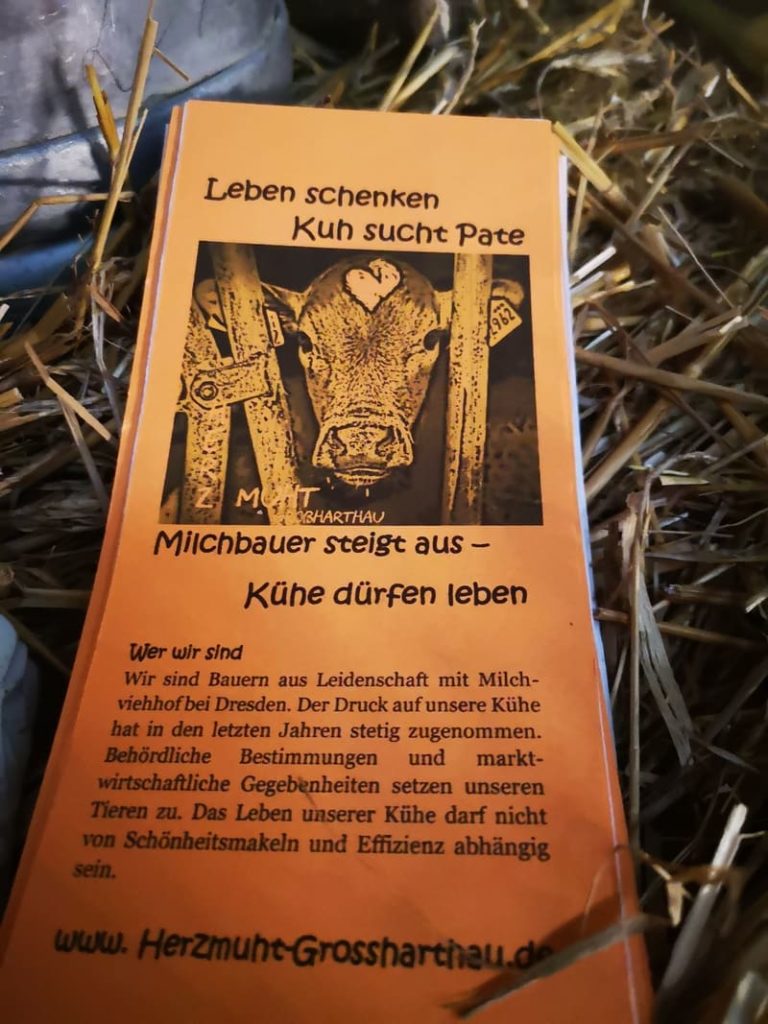 Flyer für Patenschaft – HerzMuht in Großhartau