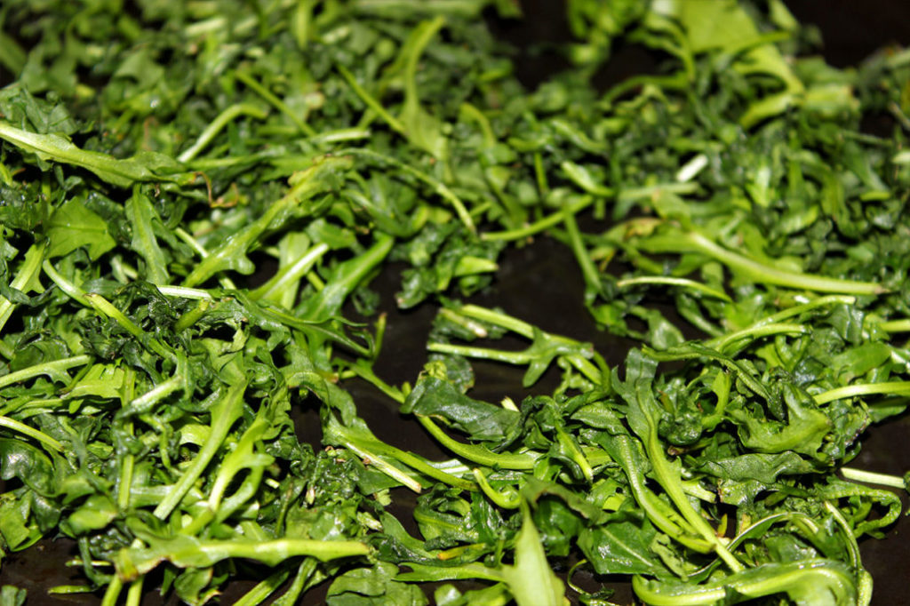 Rucola auf Backblech für Pesto