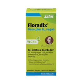 Floradix Eisen plus B12 vegan Kapseln 40 St